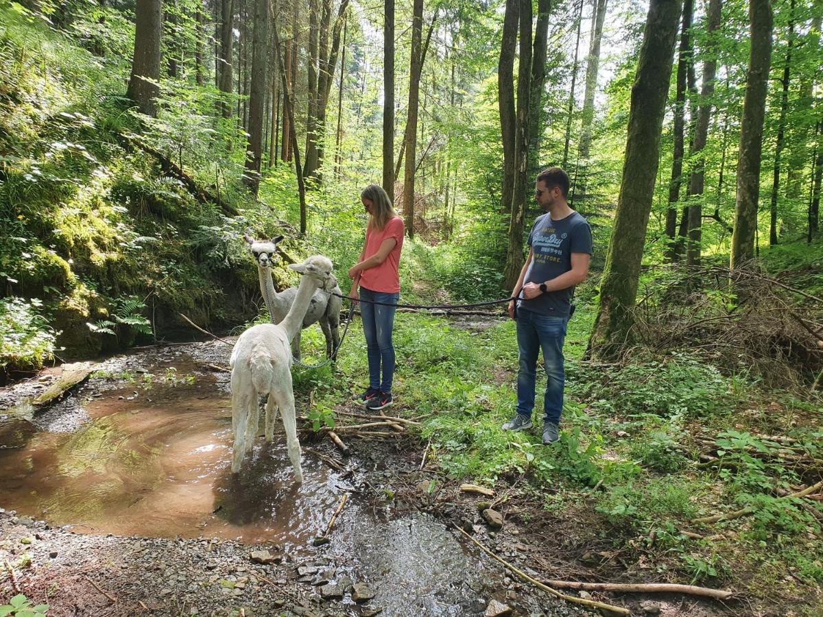 Lana Salta Alpakas - Gemuetliche Ferienwohnungen Auf Dem Bauernhof Murrhardt Bagian luar foto