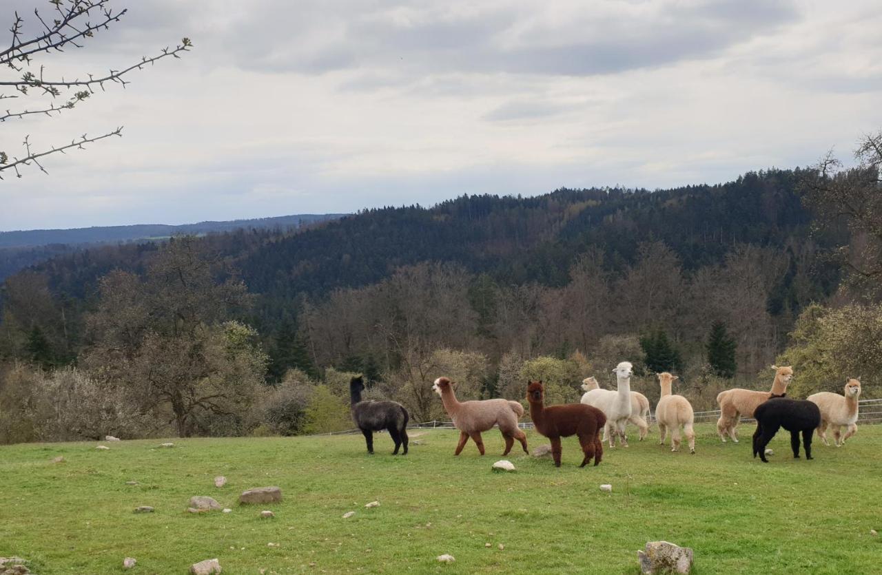 Lana Salta Alpakas - Gemuetliche Ferienwohnungen Auf Dem Bauernhof Murrhardt Bagian luar foto