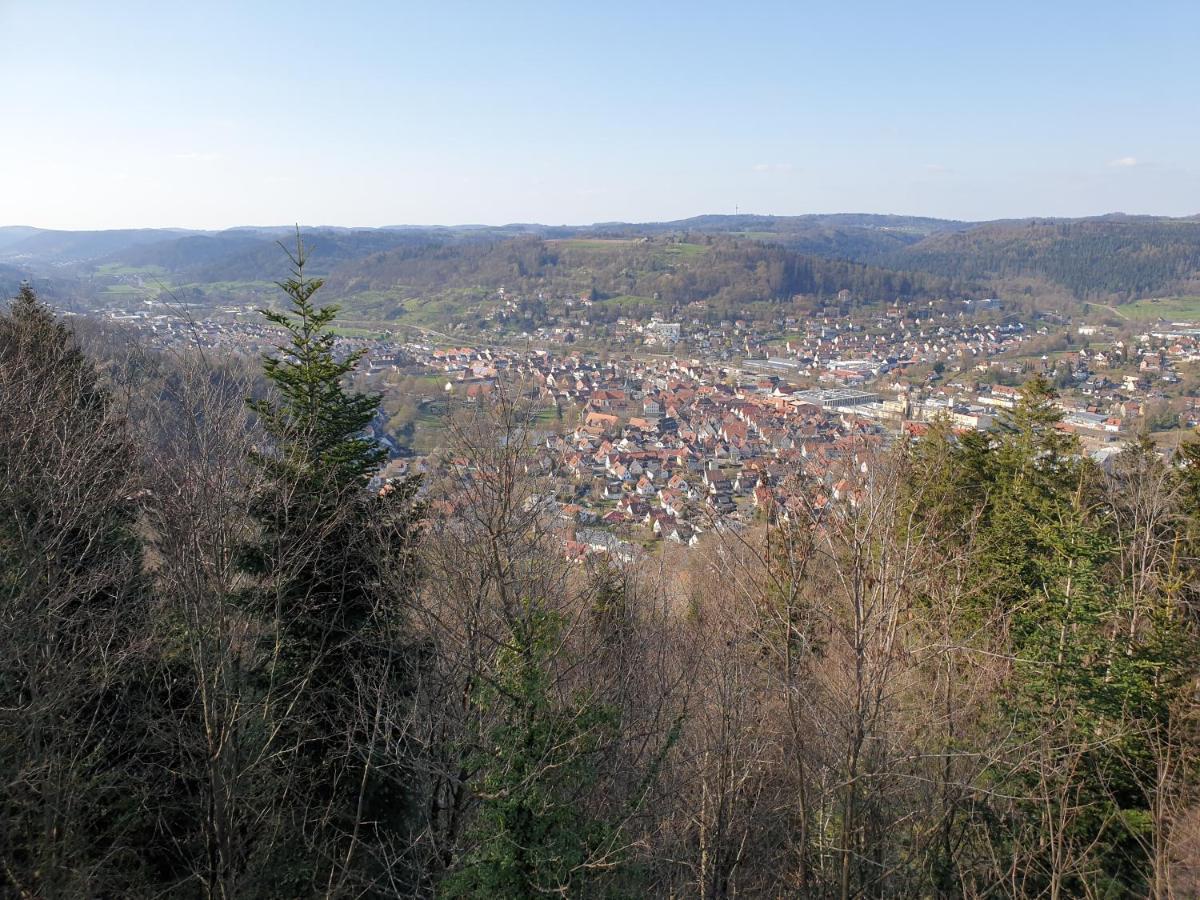 Lana Salta Alpakas - Gemuetliche Ferienwohnungen Auf Dem Bauernhof Murrhardt Bagian luar foto