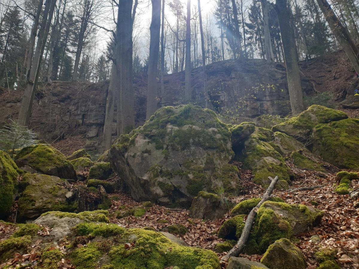 Lana Salta Alpakas - Gemuetliche Ferienwohnungen Auf Dem Bauernhof Murrhardt Bagian luar foto