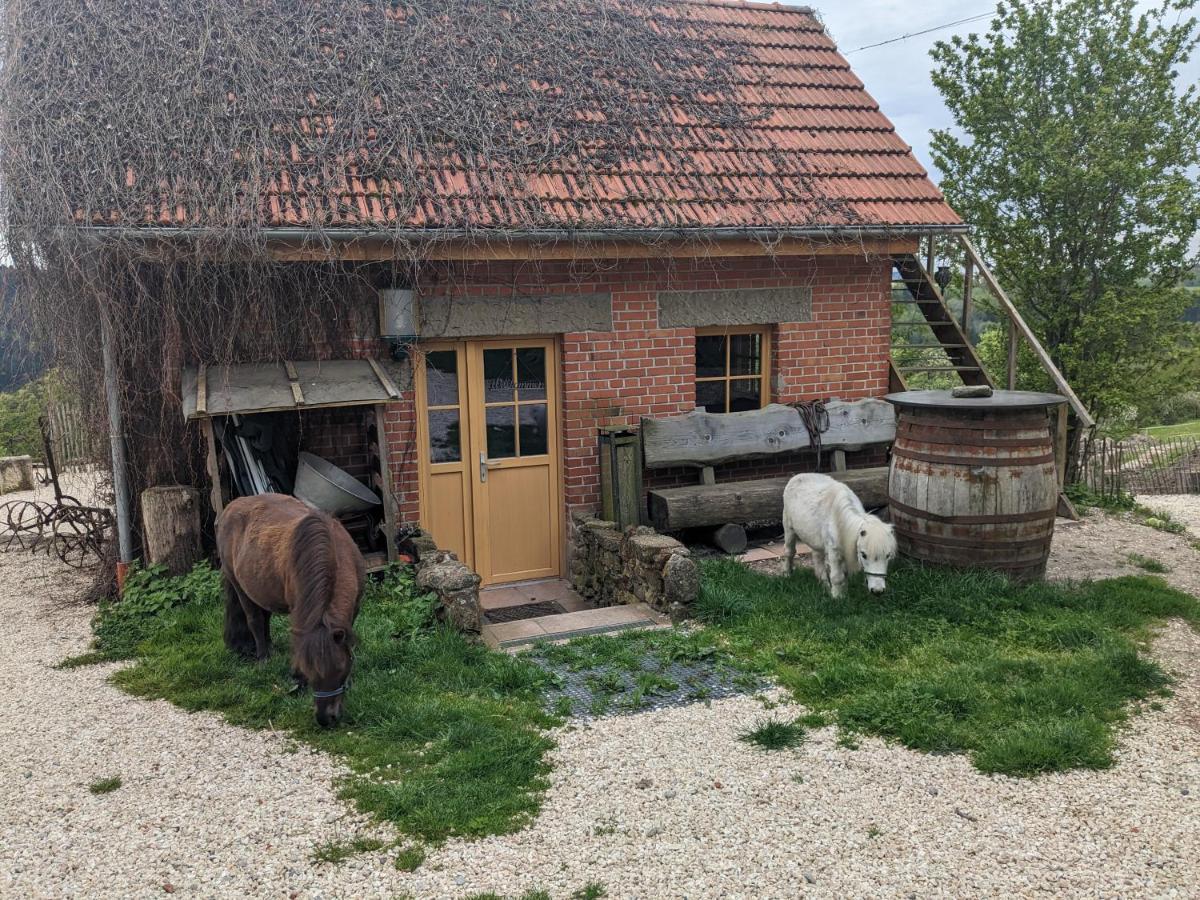 Lana Salta Alpakas - Gemuetliche Ferienwohnungen Auf Dem Bauernhof Murrhardt Bagian luar foto