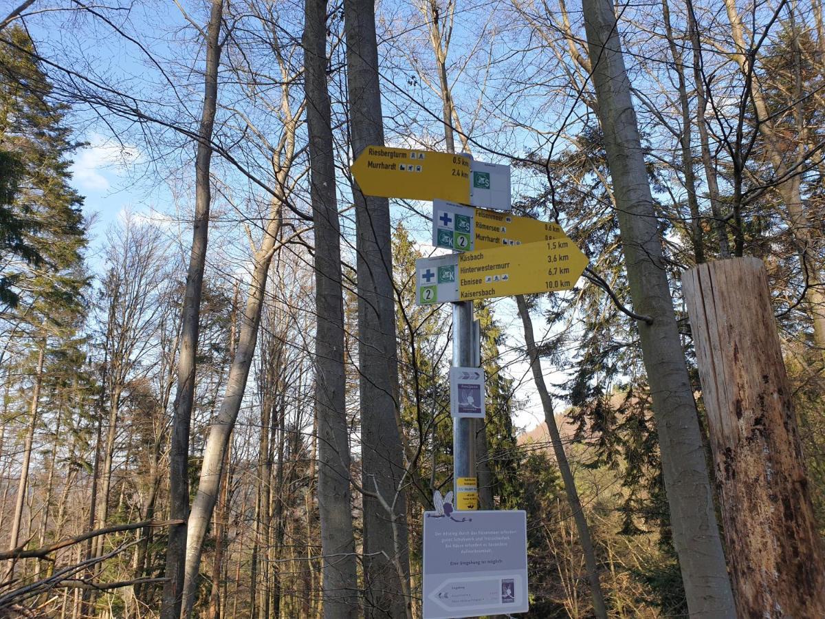 Lana Salta Alpakas - Gemuetliche Ferienwohnungen Auf Dem Bauernhof Murrhardt Bagian luar foto